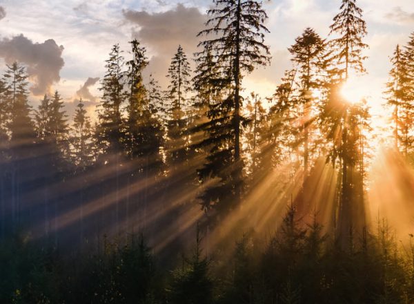 See the Light of Christ