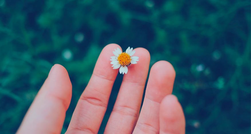 From Small Things to Serious Blessings